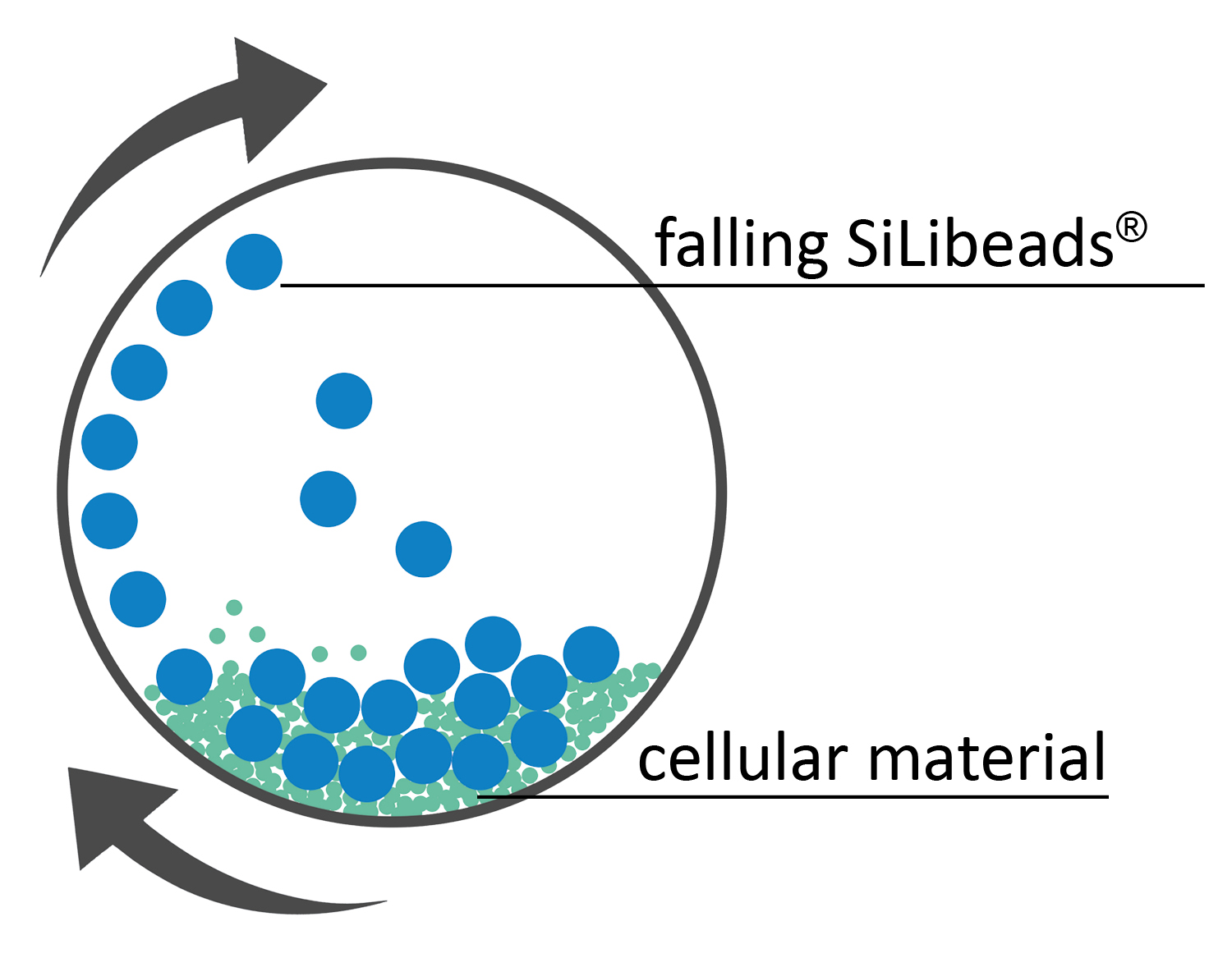 Beads for cell lysis